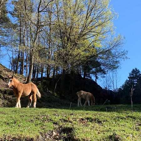 Appartement A Ordino Exteriér fotografie